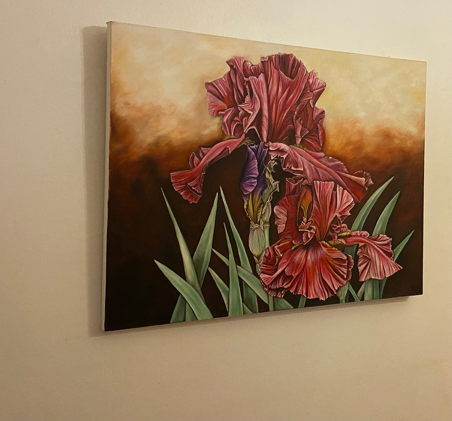 Crimson Elegance: Irises in Bloom #019