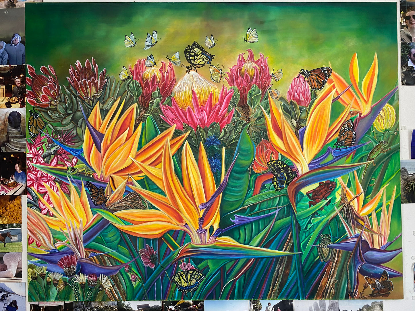 The birds of paradise flower #003