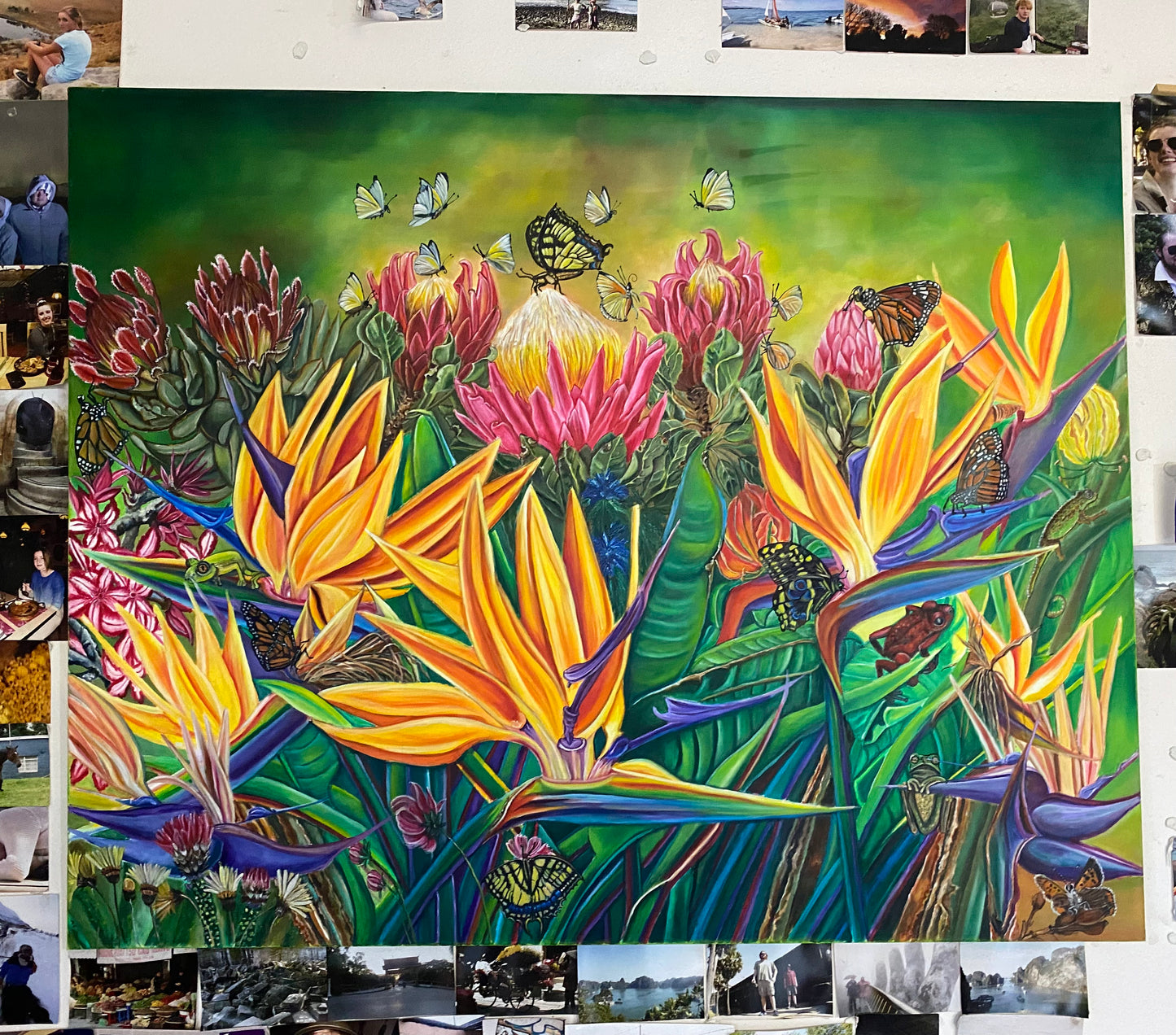 The birds of paradise flower #003