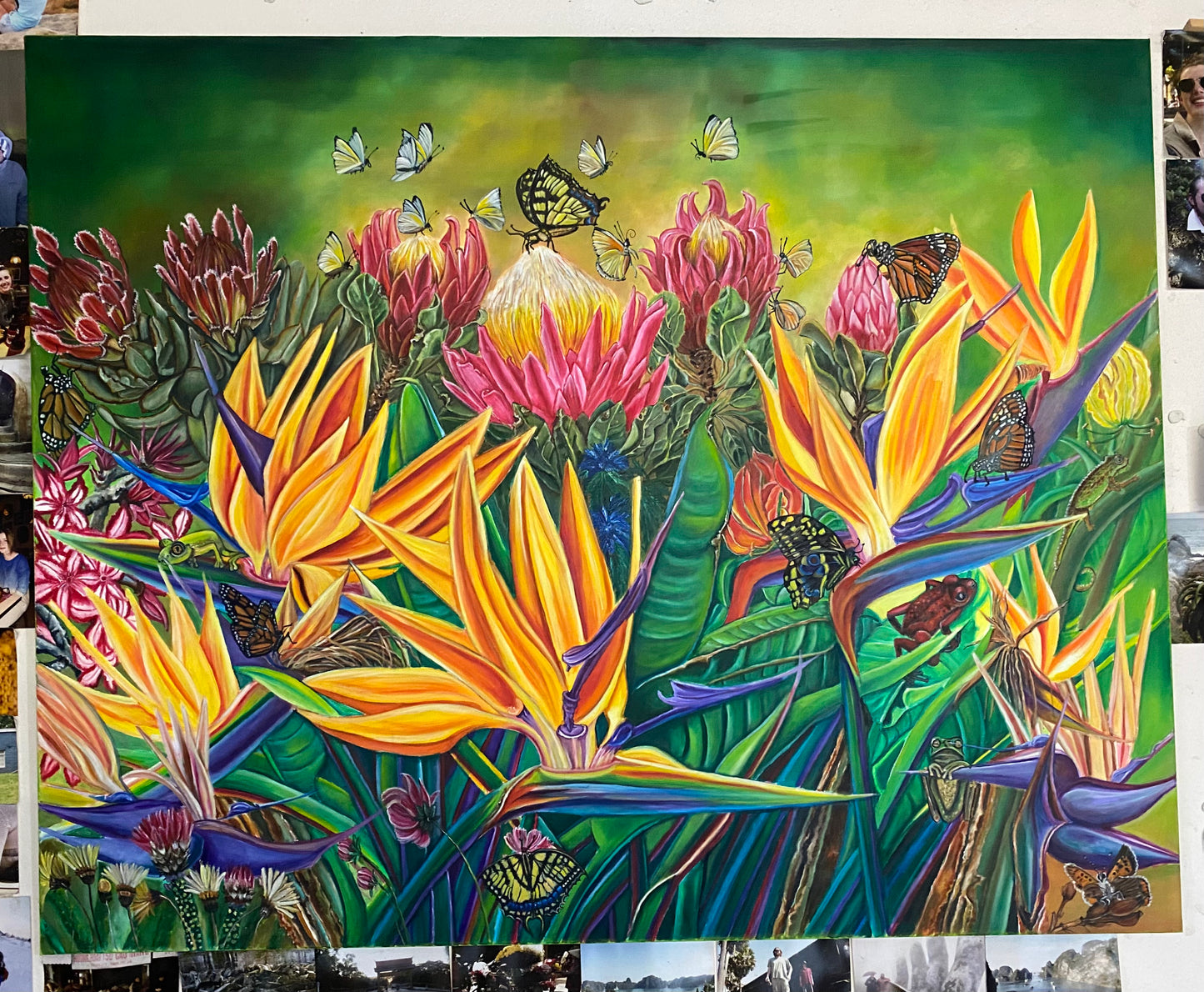 The birds of paradise flower #003